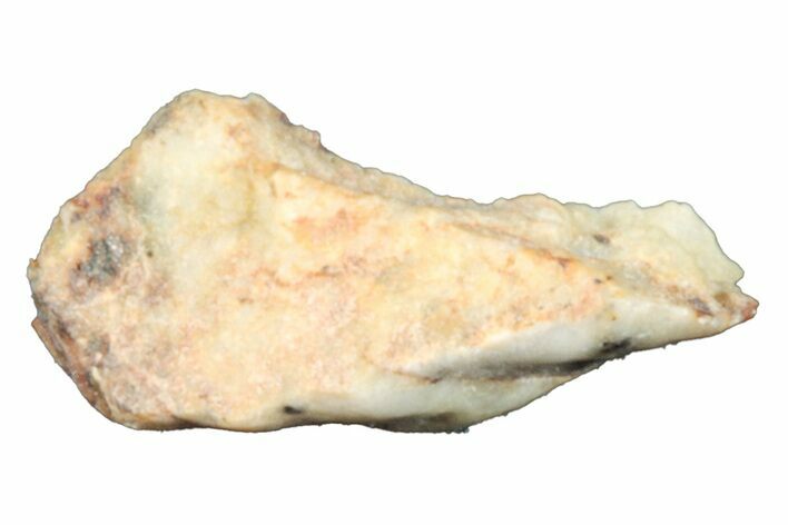 Aubrite Meteorite Fragment - Djoua #283634